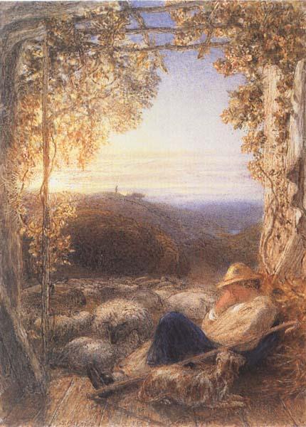 Samuel Palmer The Sleeping Shepherd China oil painting art